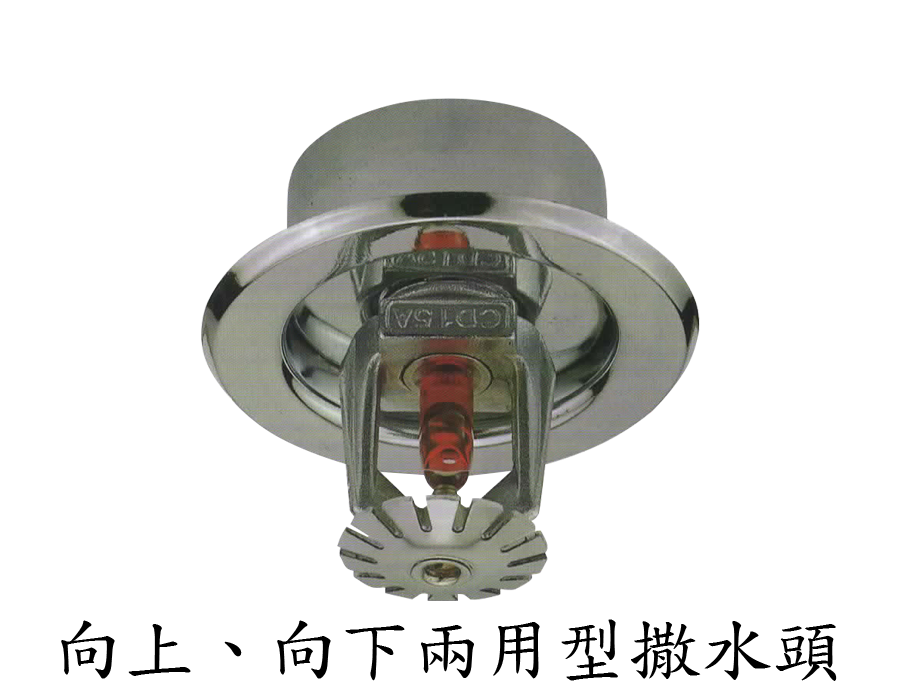 自動撒水頭-埋入型(附裝飾座) 自動撒水頭-埋入型(附裝飾座)